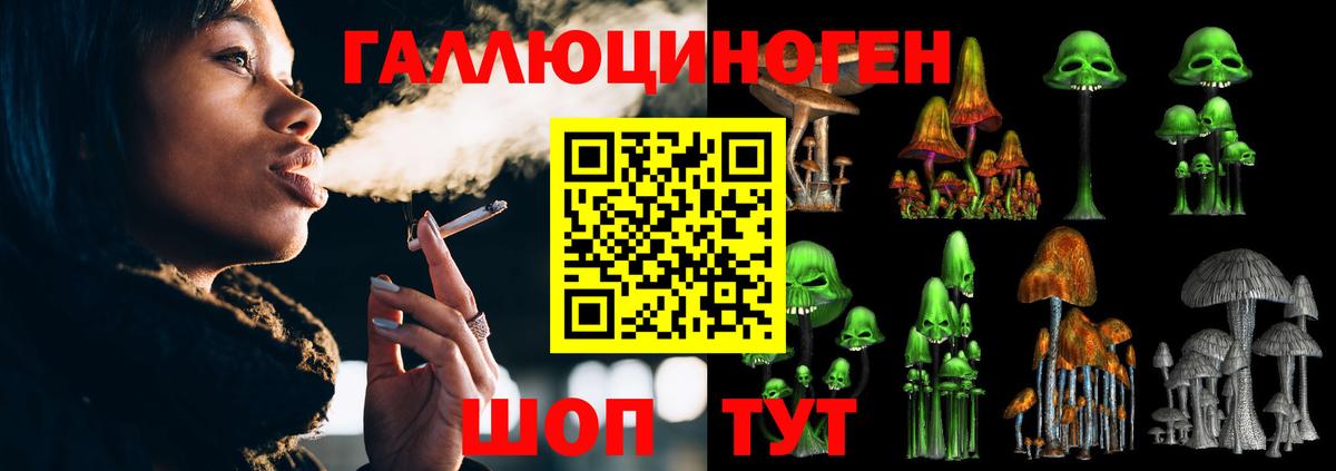 Галлюциногенные грибы Psilocybe  Вход с VPN  Осинники 